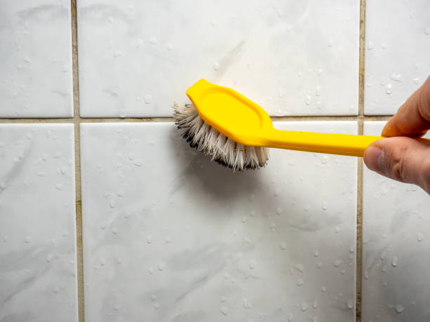 Best Professional Mold Removal  in Ttapoisett Center, MA