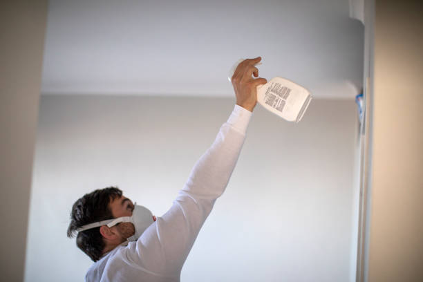 Best Emergency Mold Removal  in Ttapoisett Center, MA