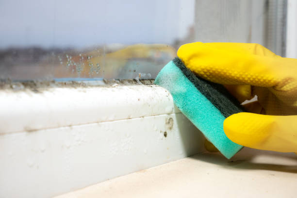 Best Mold Testing  in Ttapoisett Center, MA