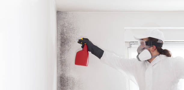 Best Office Mold Removal Services  in Ttapoisett Center, MA
